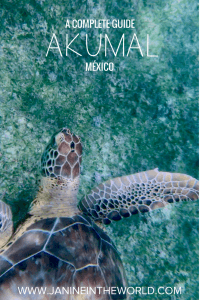 Akumal, Mexico is an incredible spot to go swimming with turtles and an absolute must-do for visitors to the Riviera Maya. Read this guide before you go.
