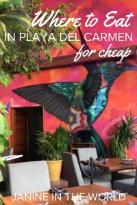 It can be a struggle to find delicious but affordable restaurants in resort towns. I don't know about you, but I believe in having it all, so I put together a collection of the best cheap eats in Playa del Carmen! Now your belly AND your wallet can be happy! #mexicotravel #rivieramaya #mexico #travel #budgettravel #playadelcarmen