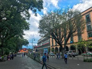 There's no question that Xalapa, Veracruz is one of Mexico's hidden gems. Click through to learn all the best things to do in Xalapa.