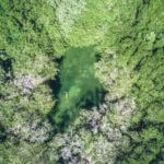 Best cenotes in riviera maya, mexico