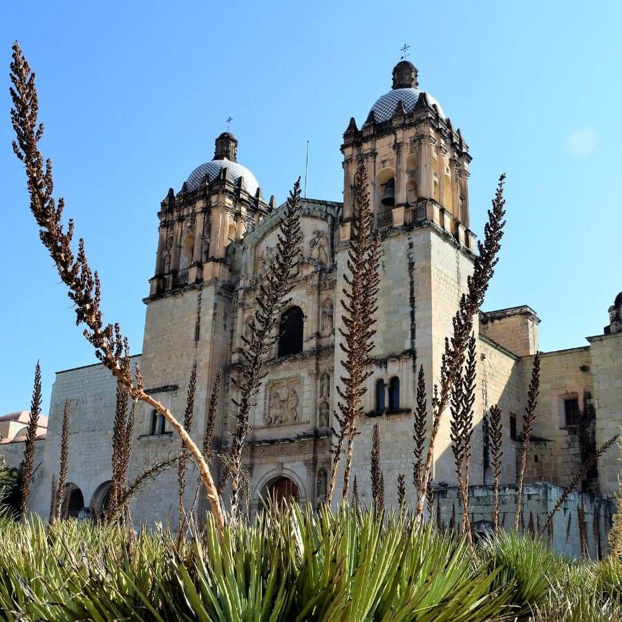 looking up at the Templo de Santo Domingo in Oaxaca City, Mexico with greenery in the foreground