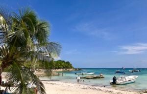 8 Essential Riviera Maya Safety Tips For Solo Travelers Akumal is a peaceful bay in the riviera maya