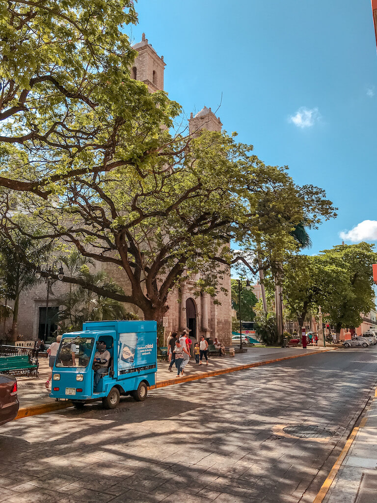 a blue water delivery truck stops under a leafy green tree in front of a park in Merida, Mexico