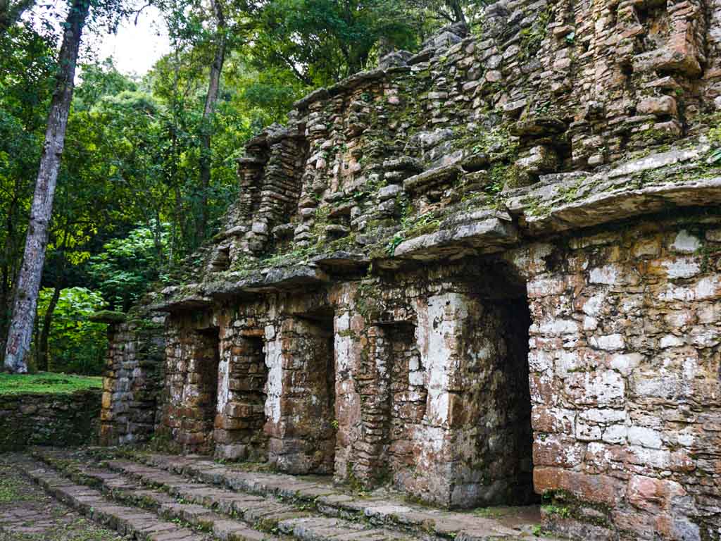 a stone structure is coated with moss and surrounded by lushjungle at the Yaxchilan ruins in Chiapas