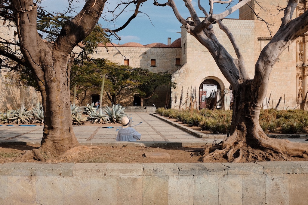 A serene courtyard at the Santo Domingo de Guzmán church in Oaxaca, with a person sitting on a bench, flanked by leafy trees and agave plants, capturing the tranquil atmosphere of Oaxaca City.