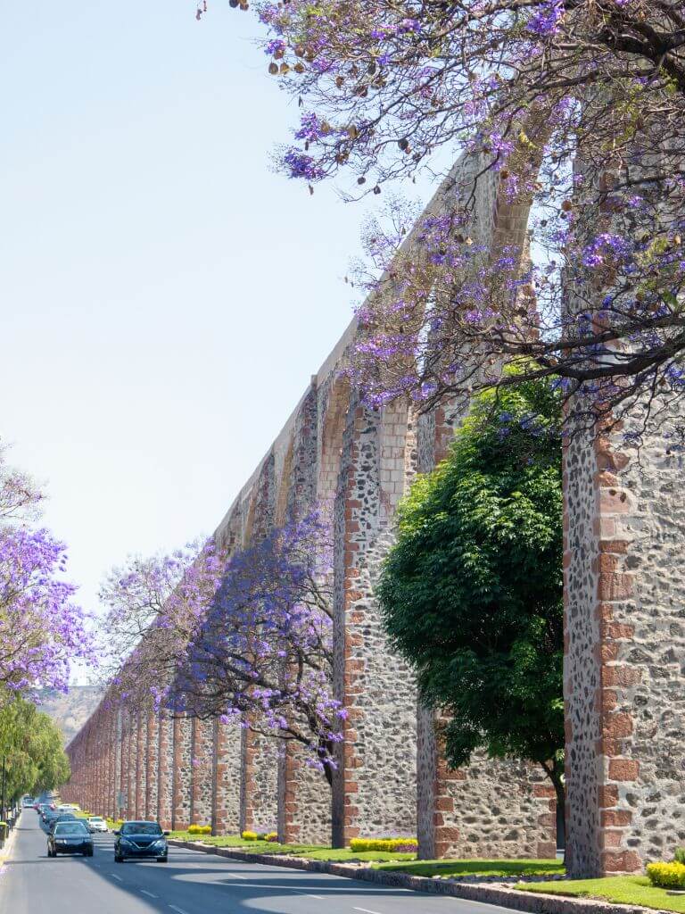 Queretaro's viaduct stretches along a street with jacaranda trees blooming below it and cars driving along the road beside it.