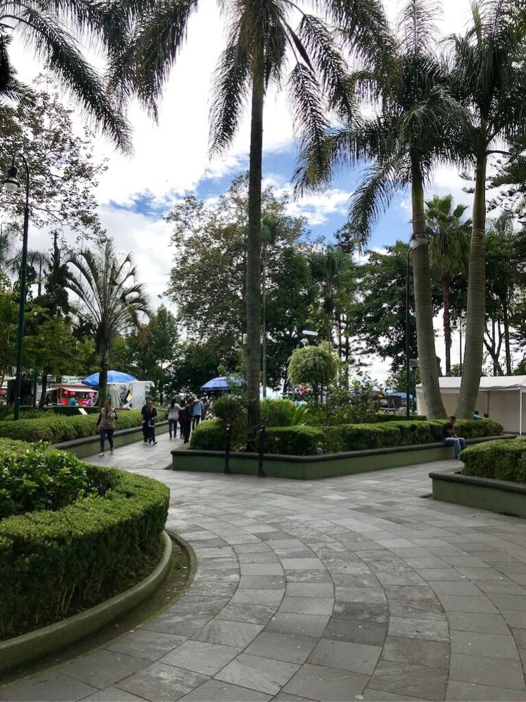 view of the greenery and walking paths within Xalapa's Parque Juarez