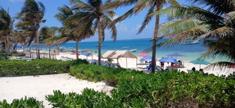 The Best Airlines For Canadians Traveling To Mexico The best airlines for canadians traveling to mexico can bring you to locations like this in puerto morelos, near cancun