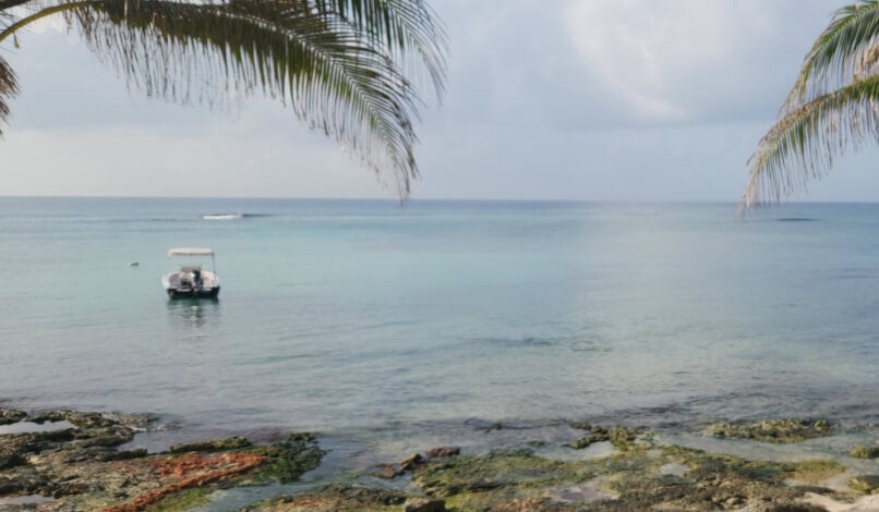 things to do in cozumel mexico