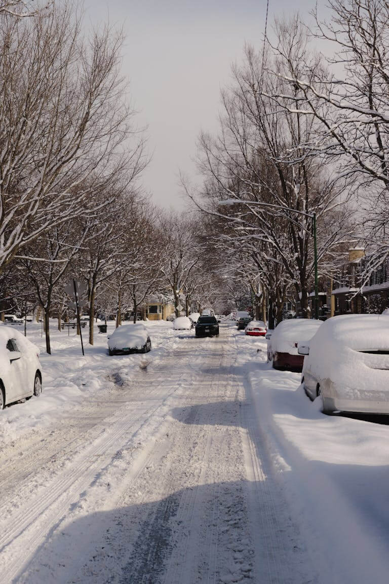 Must-Know Safety Tips When Traveling To Chicago During Winter Traveling in chicago during a winter day.